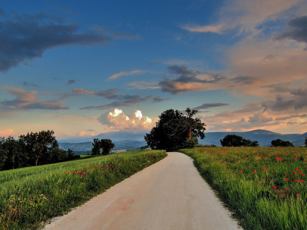 Distant landscape with gentle horizon for a soft gaze